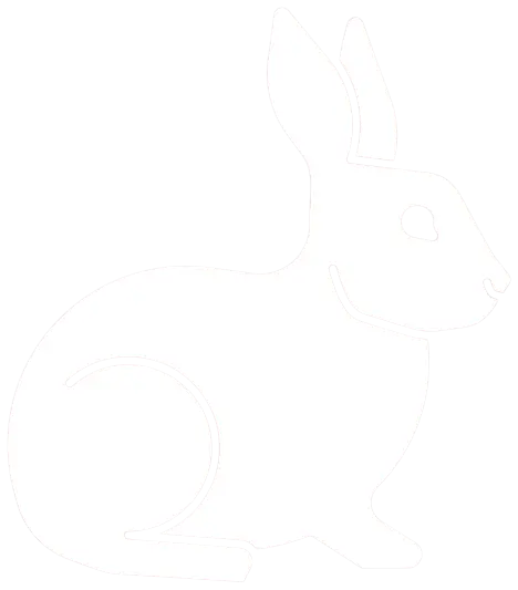White Rabbit