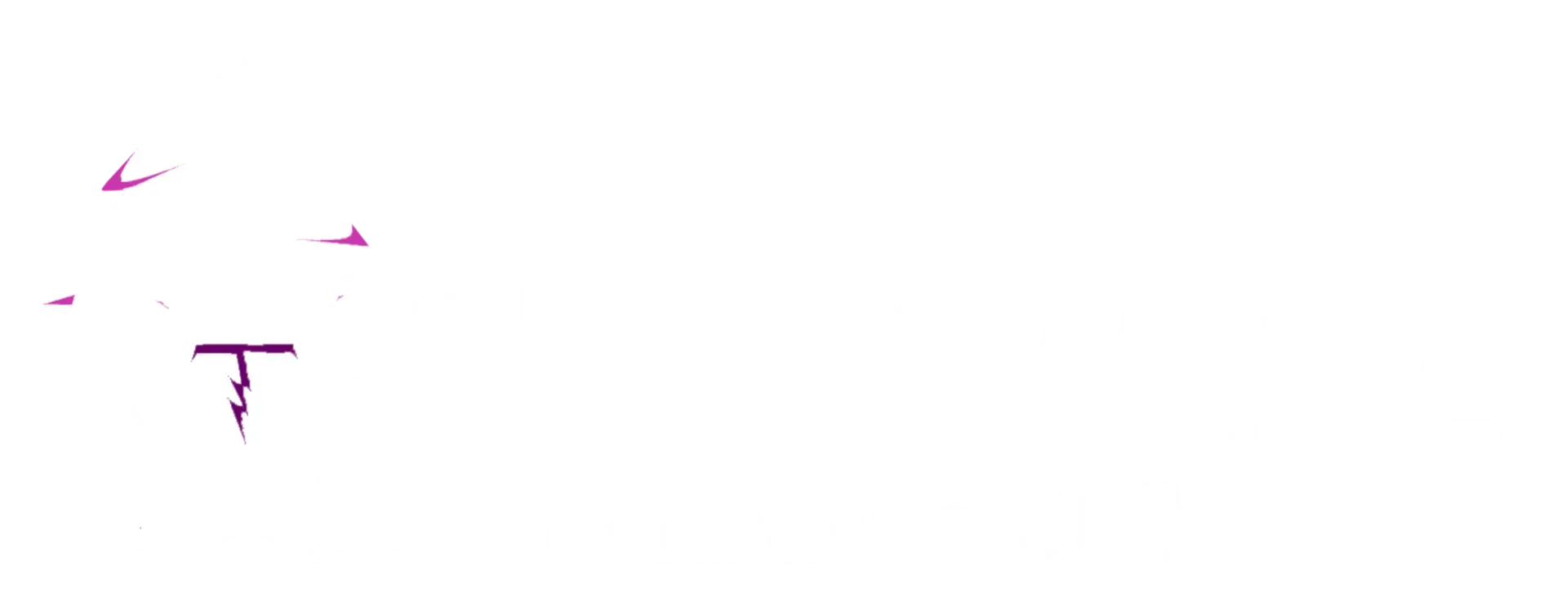 Tekwiza Logo