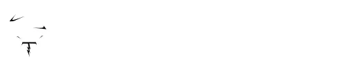 Tekwiza Logo